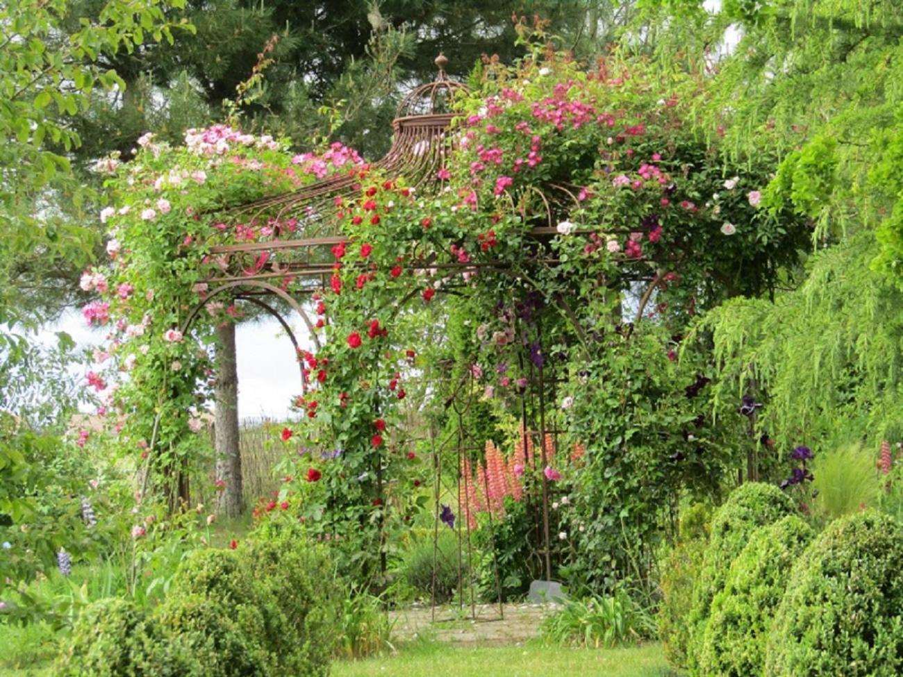 Chambre D Hotes La Barriere Channay-sur-Lathan Exteriör bild